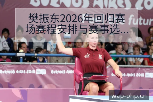樊振东2026年回归赛场赛程安排与赛事选择分析及技术特点 - 多多28
