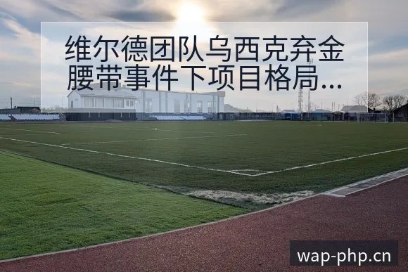 维尔德团队乌西克弃金腰带事件下项目格局与主要对手分析 - 多多28